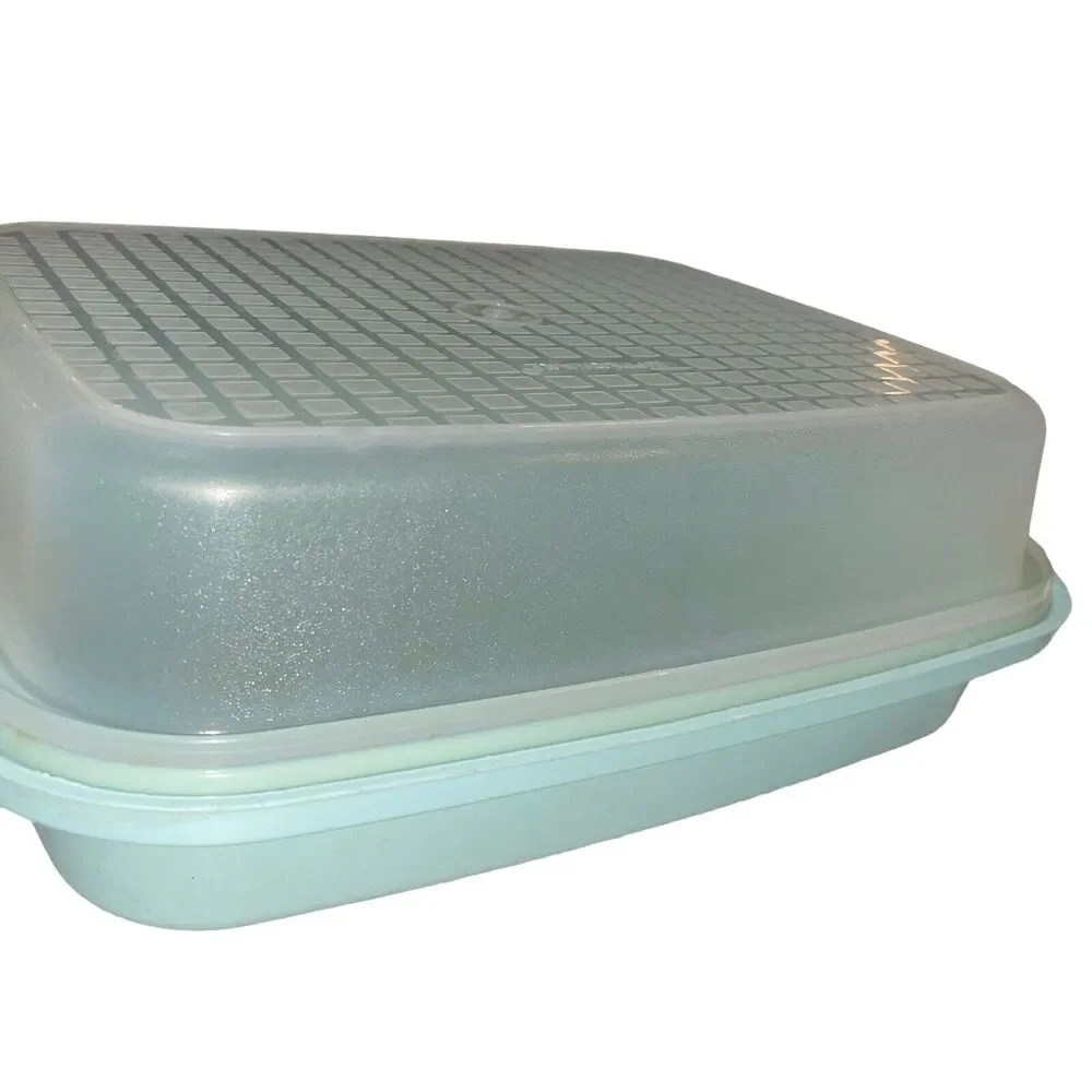 Tupperware Seafoam Green Meat Marinade Container 1294 1295 Sheer Large Seasoning